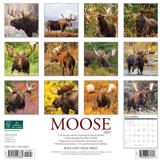 2023 Moose Wall Calendar Wall Calendars Michaels